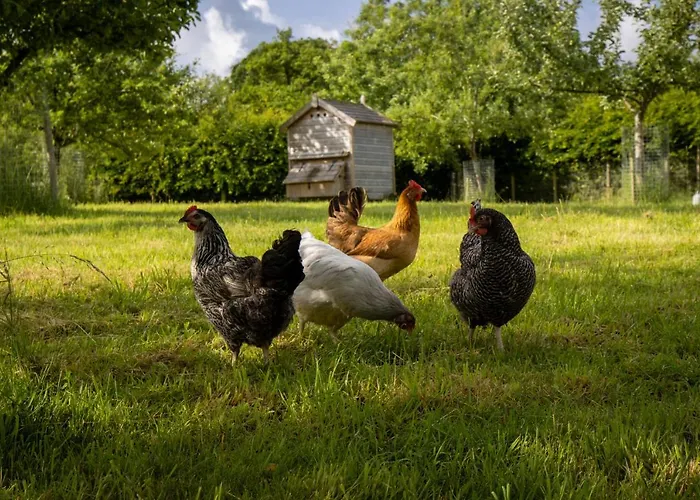 Gutchpool Farm