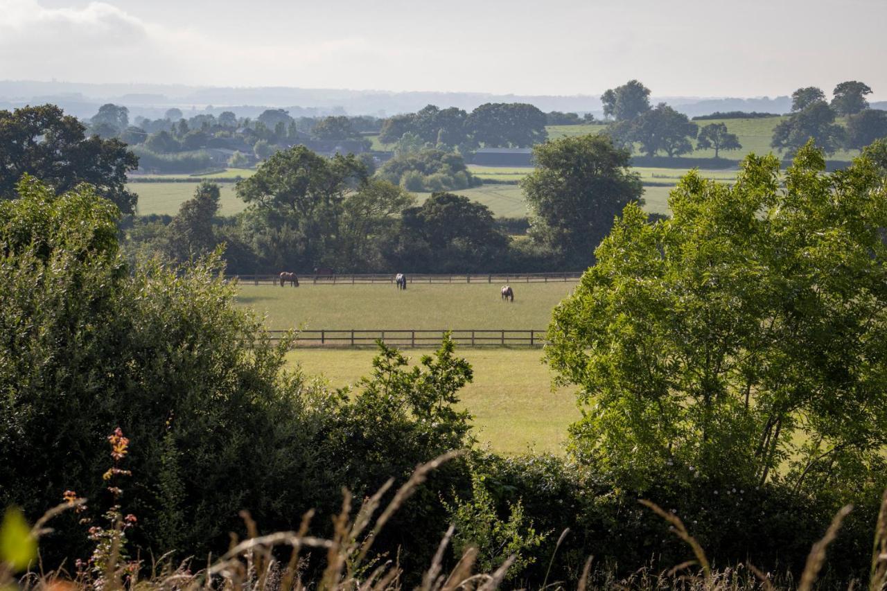 Bed & Breakfast Gutchpool Farm Gillingham (Dorset)